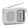 Radio i budzik AIWA RS-55 Srebrny